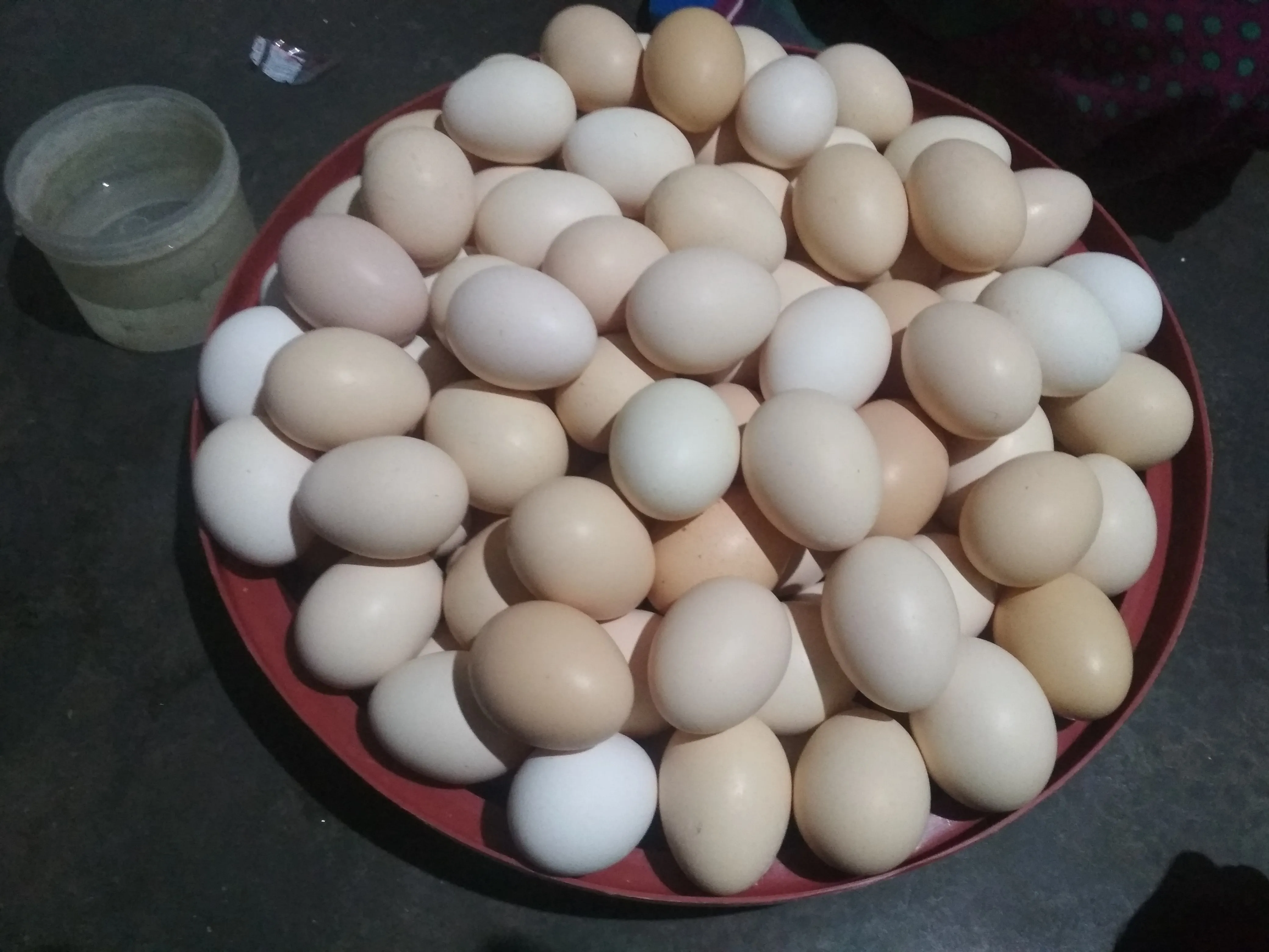 Naati Kozhi Muttai (Country Chicken Eggs) - 12 per pack, நாட்டுக்கோழி முட்டை - 12 முட்டைகள் at ₹240.00 | RRRa Green