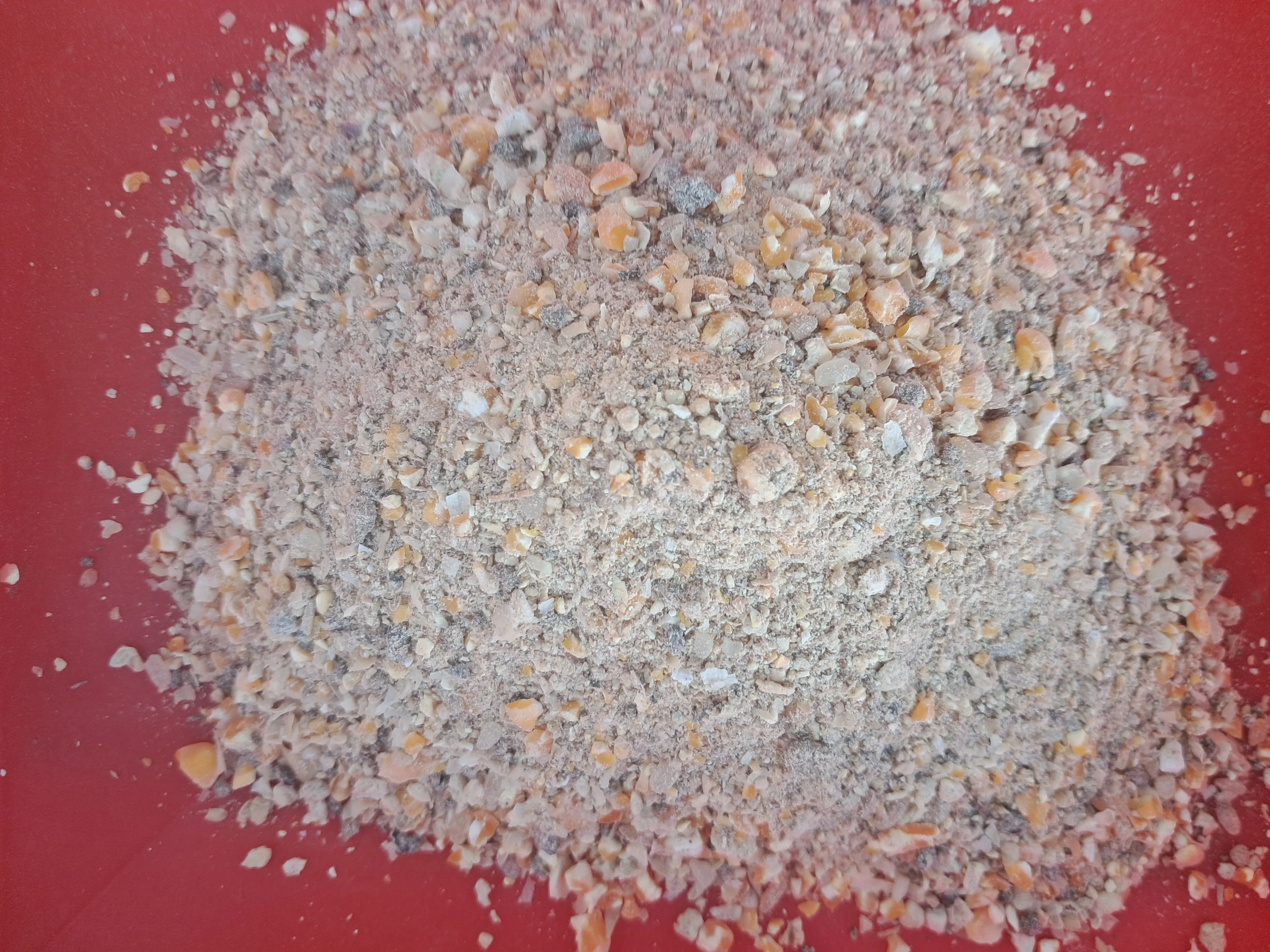 Grower Layer Feed (8-15 Weeks) - Complete Nutrition